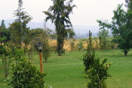 Amplias Áreas Verdes